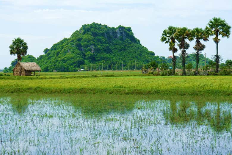 O Delta do Mekong