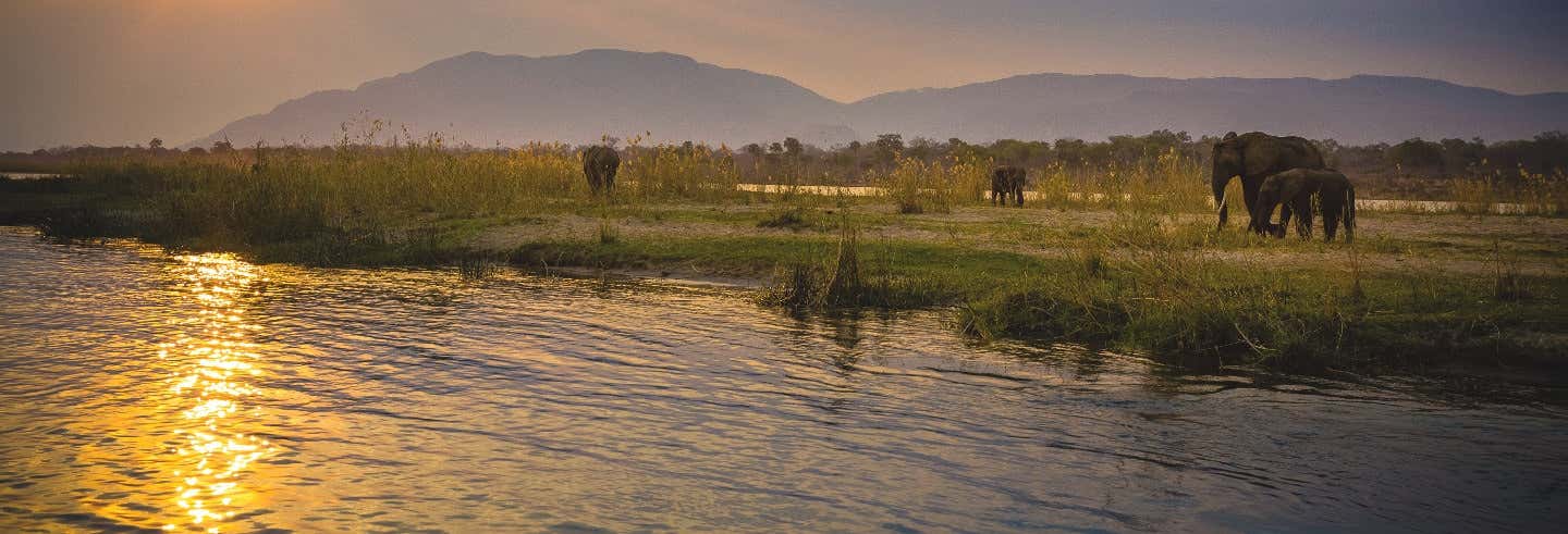 Zambia